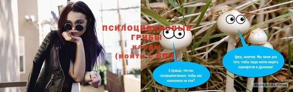 мяу мяу мука Горнозаводск
