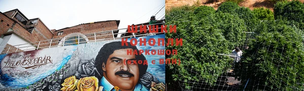 мяу мяу мука Горнозаводск