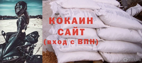крисы Горно-Алтайск