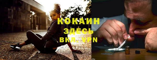 мяу мяу мука Горнозаводск